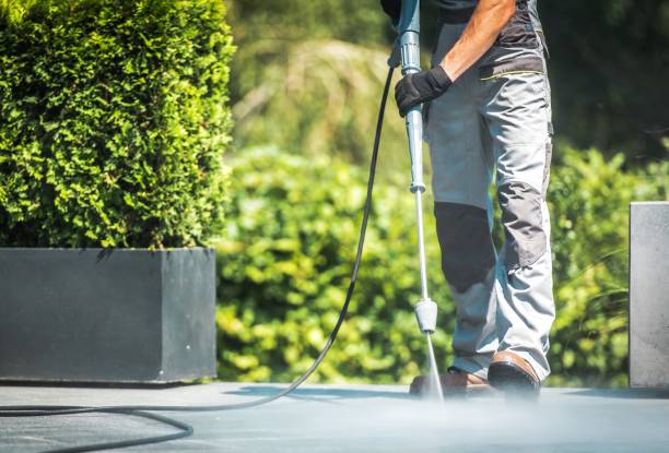 Best House Exterior Washing  in Porter, IN